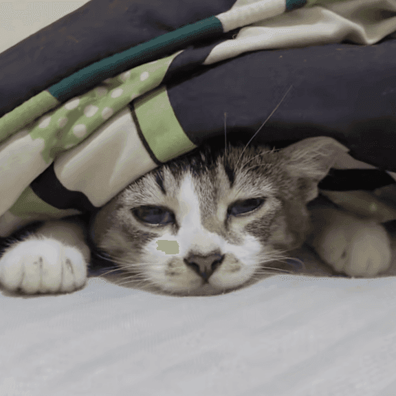 What Is DevOps and Why It Matters for Modern Infrastructure